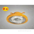 CE Explosion-Proof  Light , Aluminum Alloy Electrode-Less L